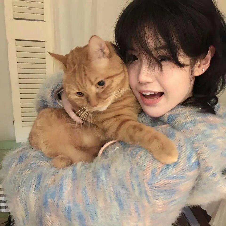万能金龟车