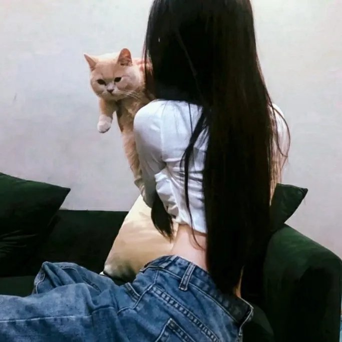 佳周佳期